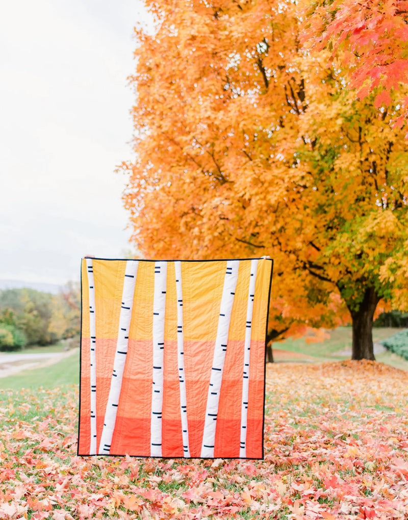 Autumn Aura Quilt Kit by Kiley Ferons