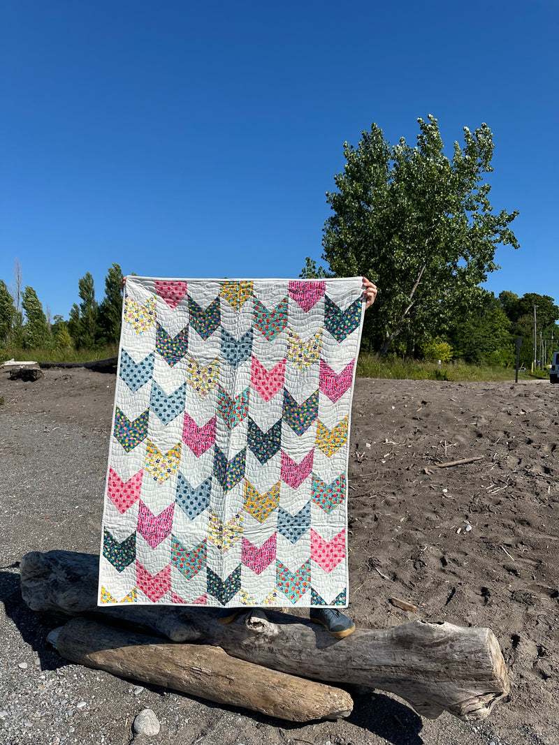 Fun Chevrons Quilt